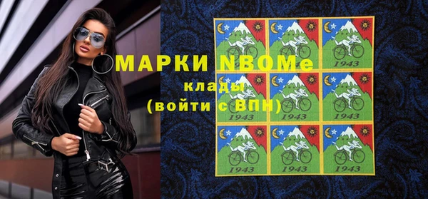 гидра Новодвинск