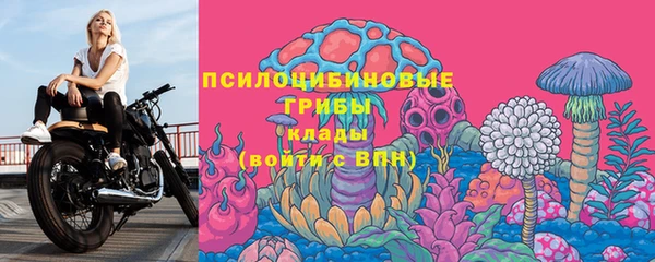 дживик Магадан
