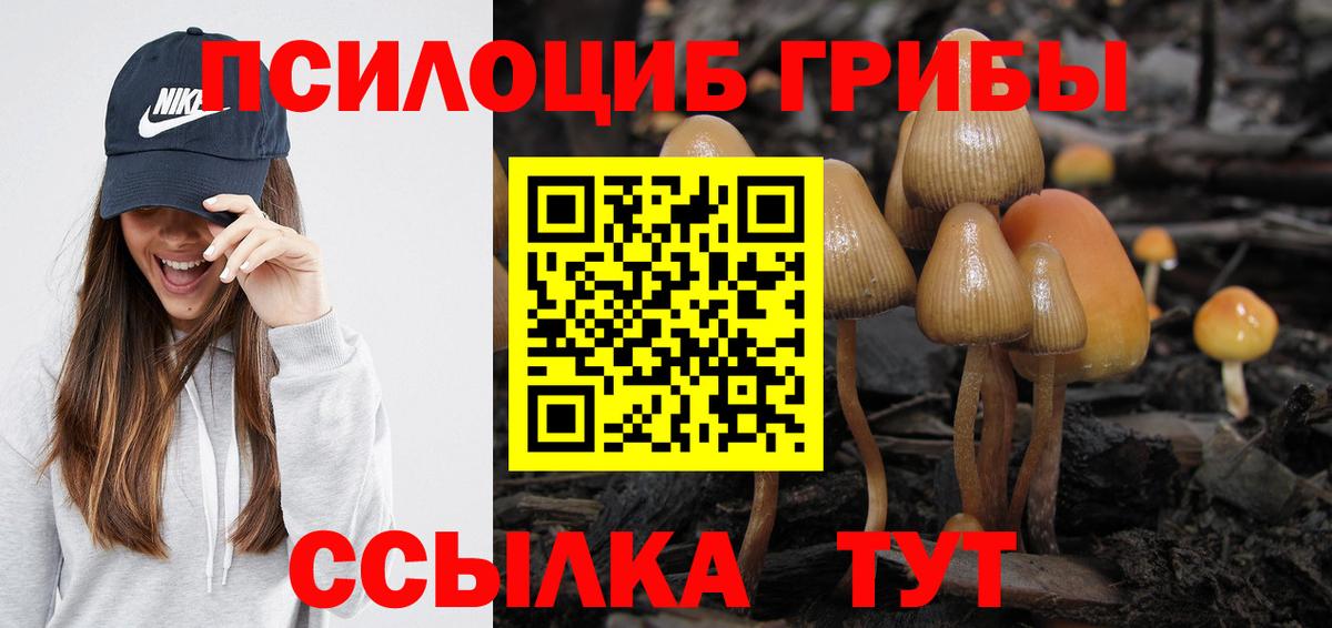 Галлюциногенные грибы мицелий Морозовск